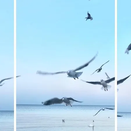 Nadmorskie Tarasy Park I Morze Kołobrzeg