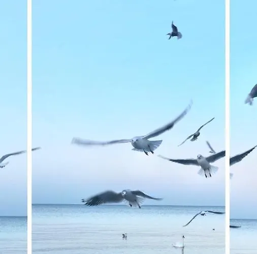 Nadmorskie Tarasy Park I Morze Z Garazem, Basen, Sauna, Jacuzzi Kolobrzeg